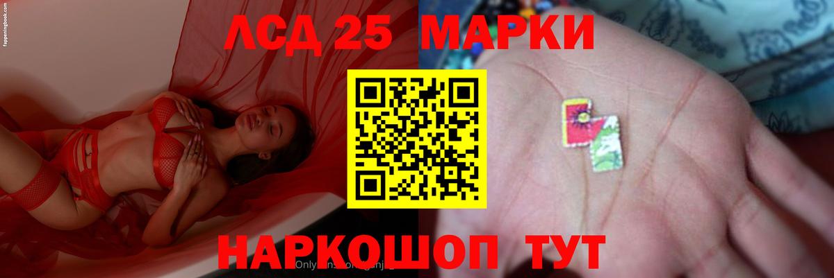 МЕФ Ефремов