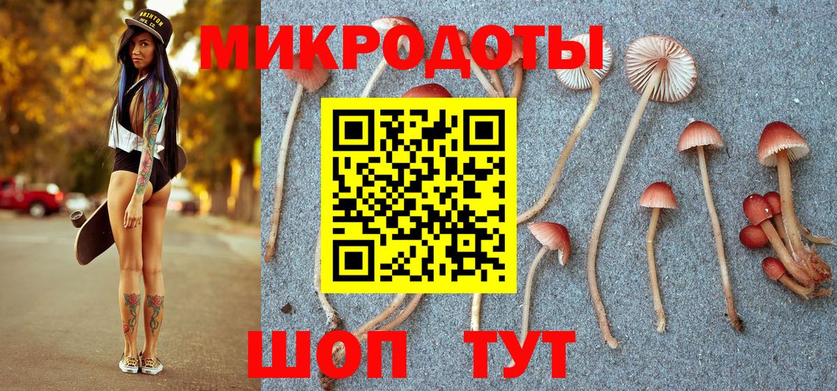 Ефремов  Псилоцибиновые грибы мицелий  Вход с VPN 